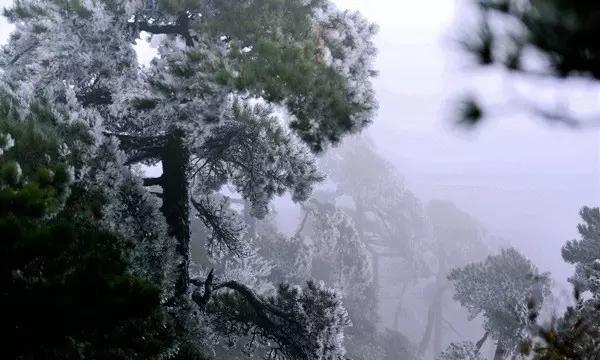 你经历过哪些让你悲痛万分的事?-专业问答网站